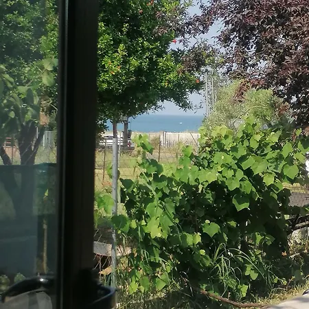 Alexandra's House בית נופש