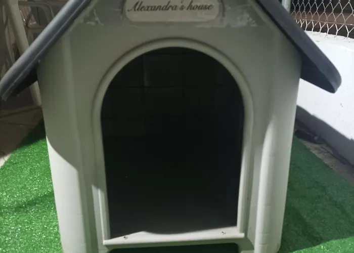 Alexandra's House בית נופש ניאה מיכאניונה