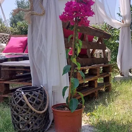 Vakantiehuis Alexandra's House Nea Michaniona