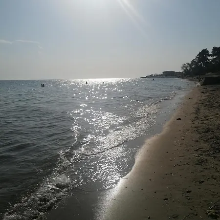 Vakantiehuis Alexandra's House