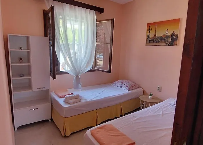 Alexandra's House 度假居 尼亚米卡尼奥纳