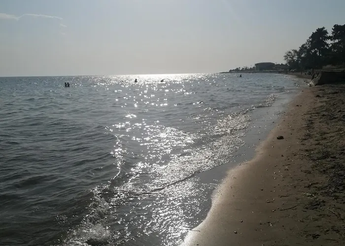 度假居 Alexandra's House