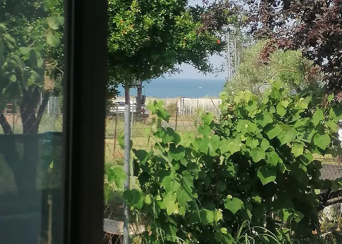 Alexandra's House 度假居